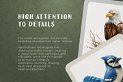 Birds and Their Nests Flash Cards, an Education Illustration by Pix Cafe (Thumbnail 3 of 10)