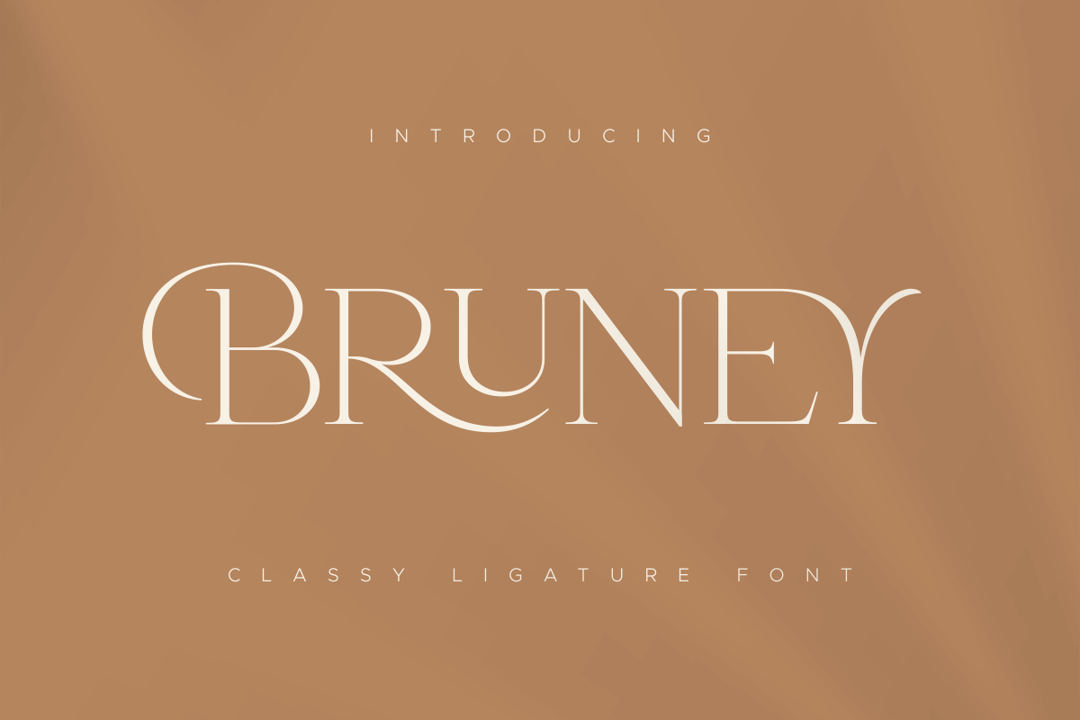 Bruney - Classy Ligature Font, a Serif Font by Sensatype (Photo 19 of 19)