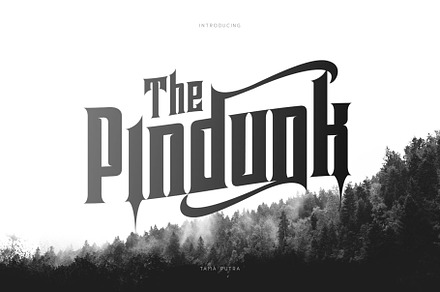 Pindunk Decorative Typeface