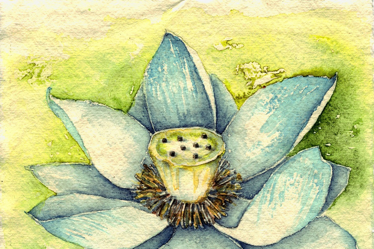 Bundle offer of watercolors, an Animal Illustration by Watercolor_Vector Graphic (Photo 6 of 27)