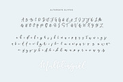 BetterFly - for Canva & Templett, a Script Font by Blessed Print (Thumbnail 35 of 46)