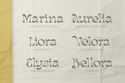 Slanker – Elegant Display Serif Font, a Font by Pixesia Studio (Thumbnail 11 of 12)