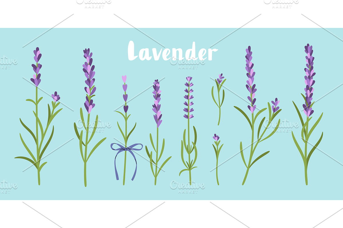 Lavender flowers set isolated on, an Object Illustration by Stock-Smart-Start