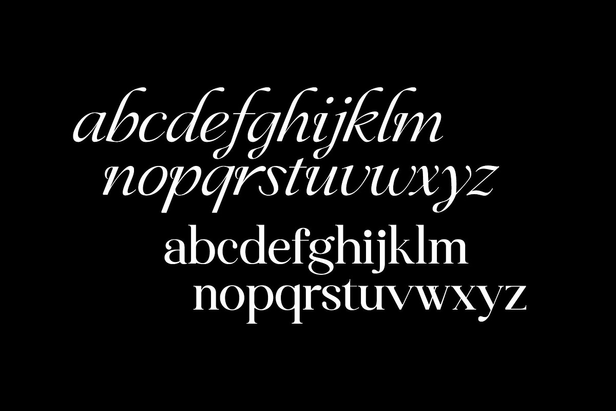Ceciliany Serif Font Family, a Serif Font by Ryul Davidson (Photo 18 of 25)
