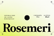 Rosemeri — MODERN EDITORIAL SERIF, a Serif Font by InkwellTypeCo (Thumbnail 1 of 19)