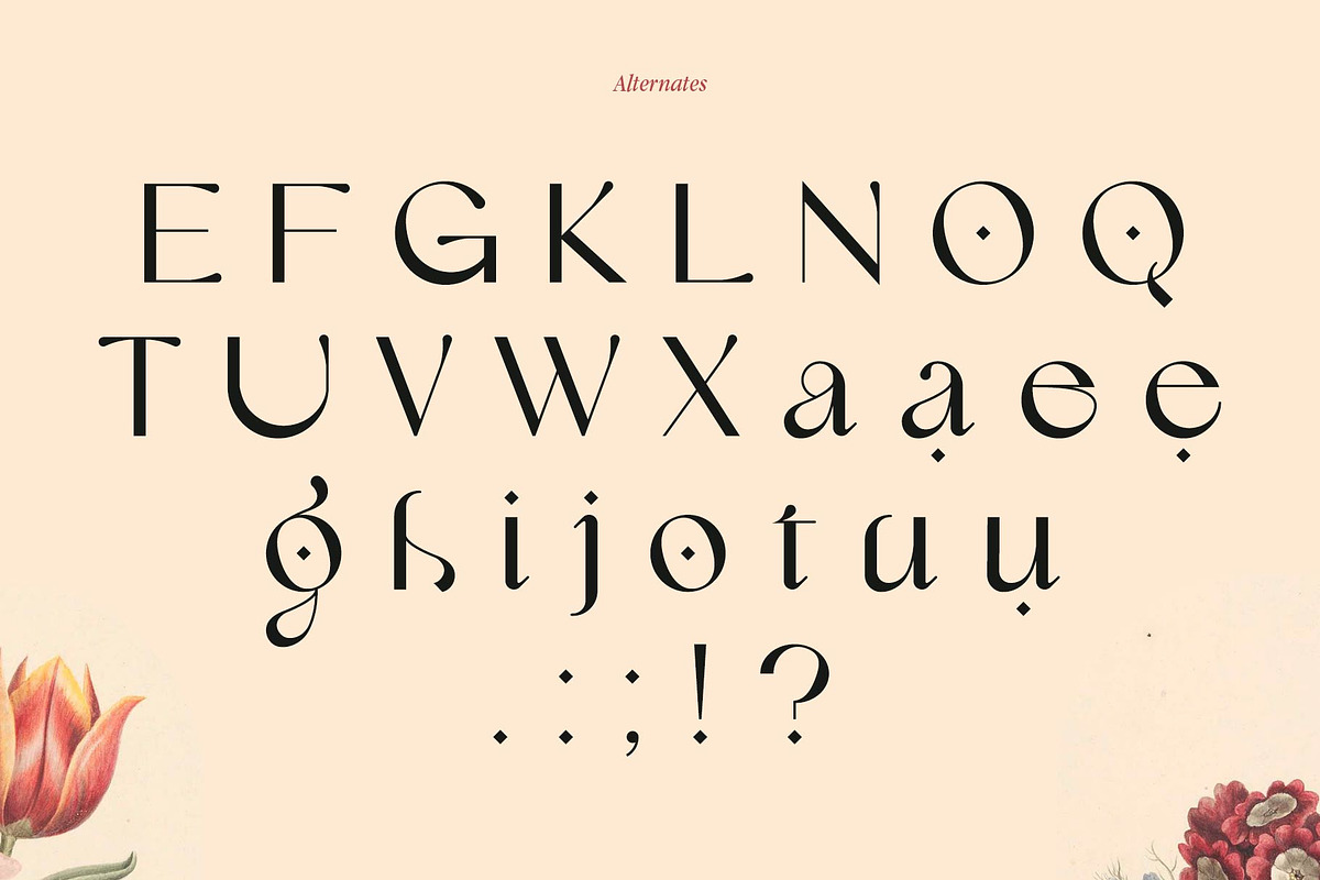 Lilyane - A Lovely Font, a Serif Font by StudioinBry (Photo 9 of 12)
