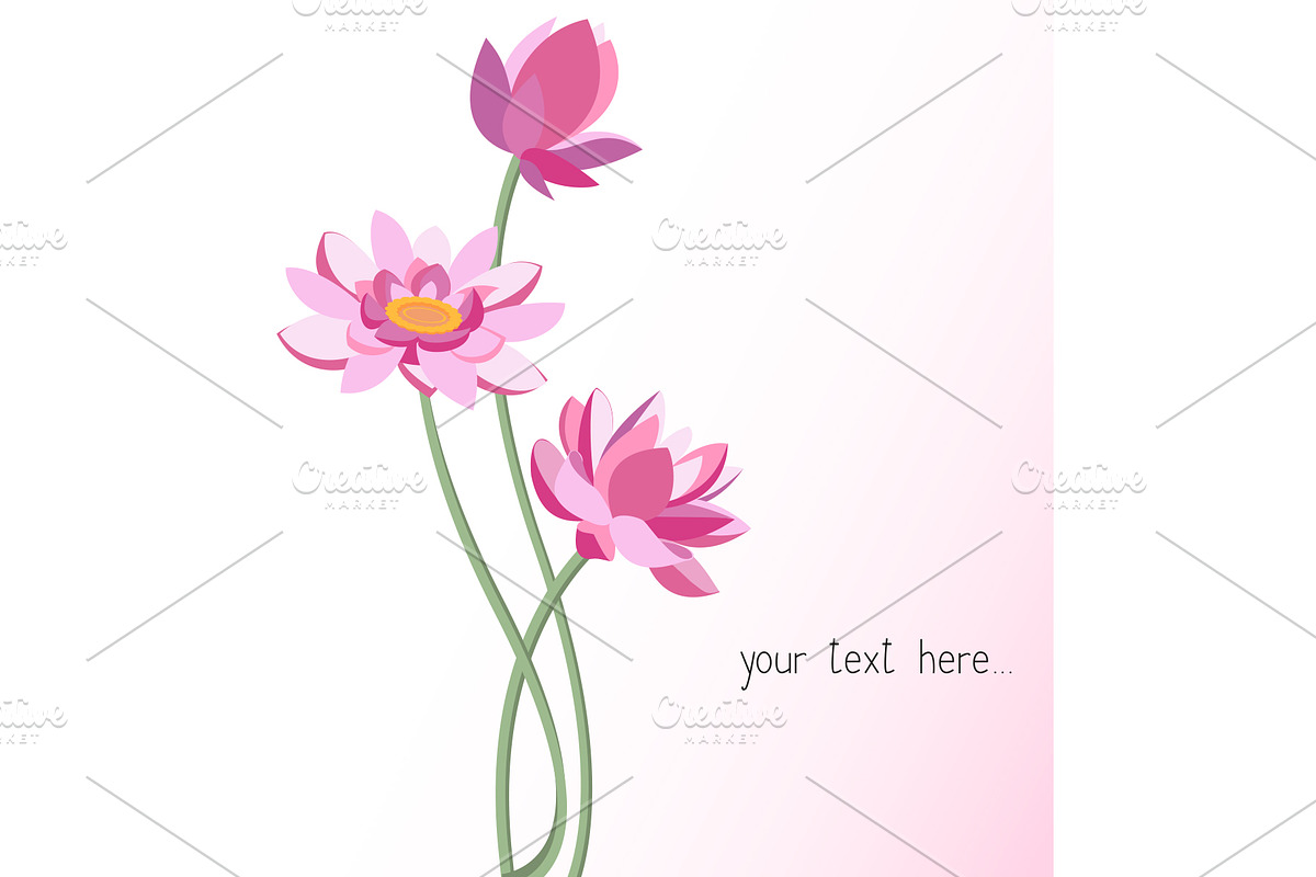 Vector lotus flowers, a Decorative Illustration by RODINA (Photo 1 of 3)