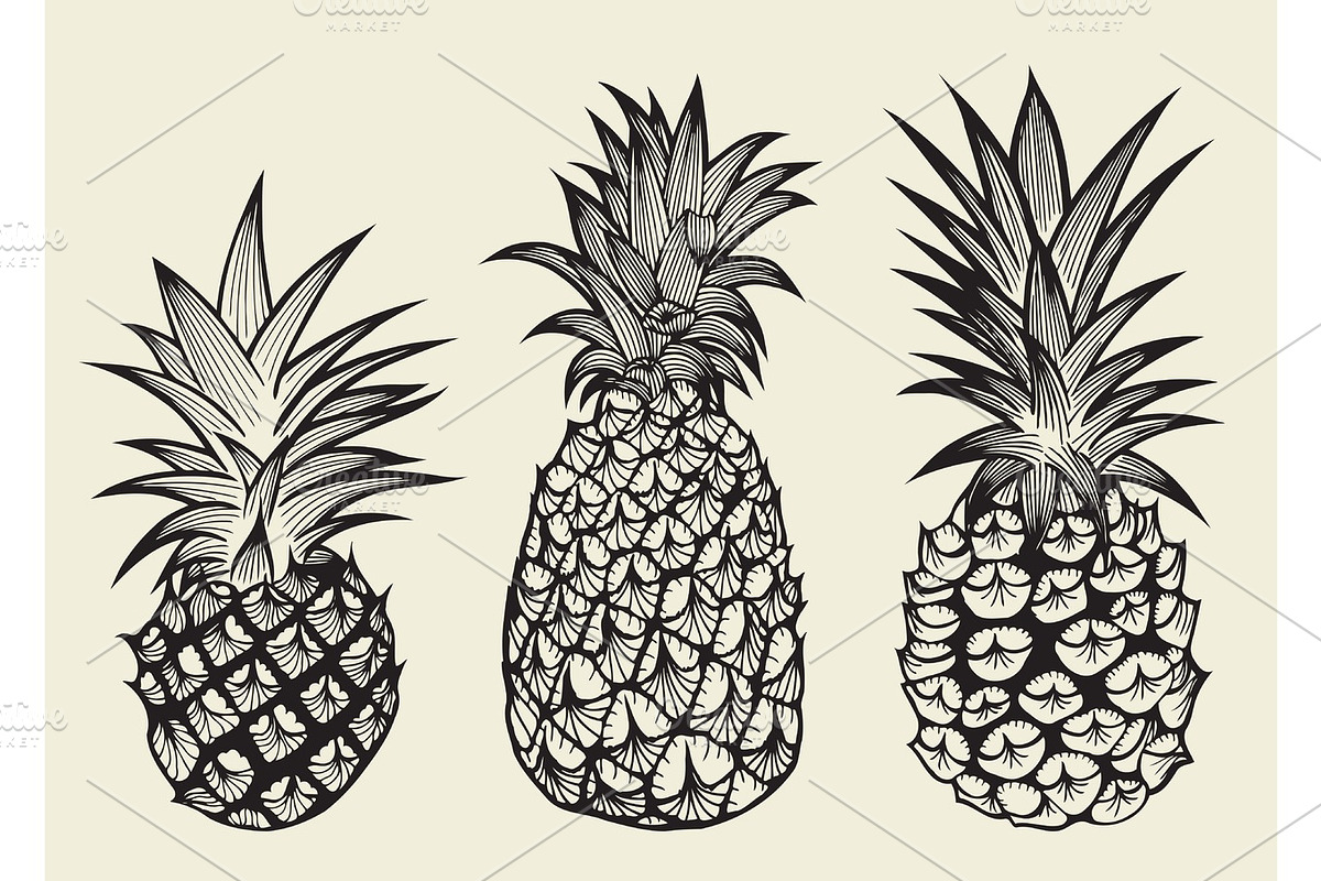 set illustrations of ripe pineapples., a Food Illustration by IllustrationArtShop