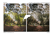 Autumn Tone Mobile Lightroom Presets, an Action Add-On by Filtercrave (Thumbnail 5 of 9)