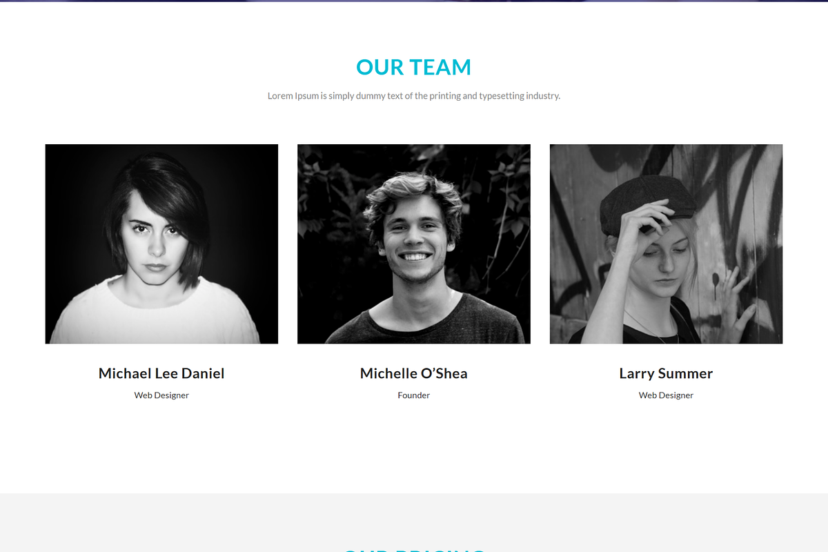 Onway - Digital Marketing HTML, a Bootstrap Template by Themeplaza (Photo 5 of 6)