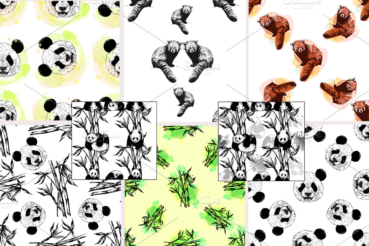 Panda, an Animal Illustration by Ecaterina Sciuchina (Photo 6 of 6)