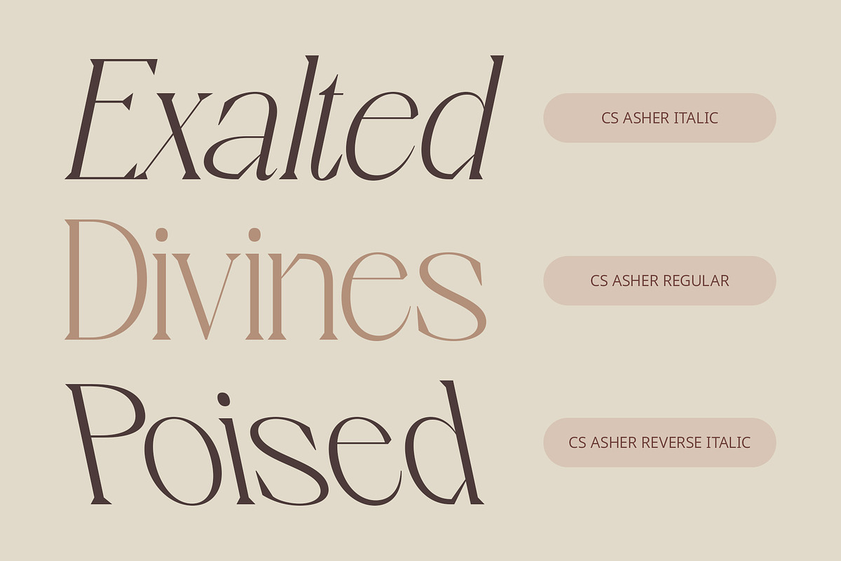 CS Asher – Elegant Font, a Serif Font by Craft Supply Co. (Photo 2 of 8)