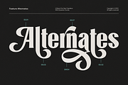 Lioney Upright, a Font by A.Budianto (Thumbnail 3 of 9)
