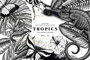 BUNDLE. Tropical Plants & Animals, an Object Graphic by Yevheniia (Thumbnail 1 of 8)