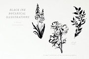 Coco - Abstract Watercolors, an Illustration by Twigs and Twine (Thumbnail 5 of 14)