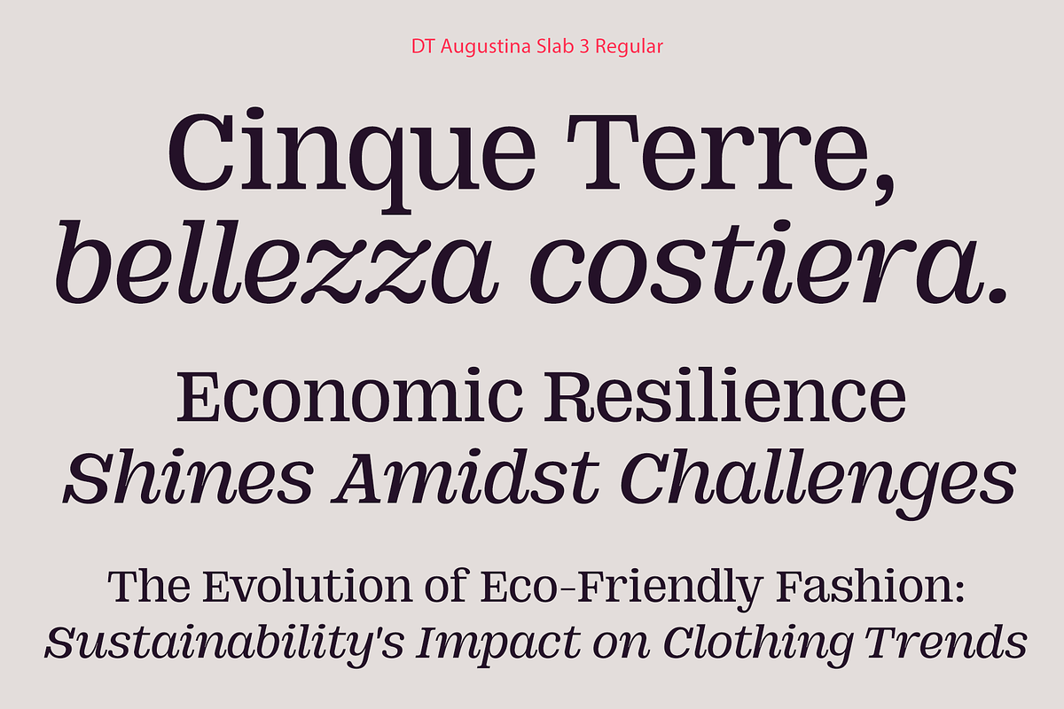 DT Augustina Slab 3 Subfamily, a Slab Serif Font by Deveze Type Foundry (Photo 7 of 31)