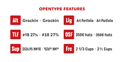 Uniform Rounded, a Sans Serif Font by Miller Type Foundry (Thumbnail 6 of 9)