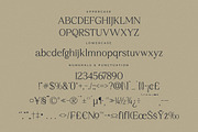 Qestrafin Modern Serif Font, a Serif Font by Letterena Studios (Thumbnail 13 of 15)