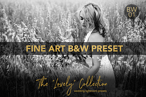 Fine Art B&W ACR + LightroomPreset