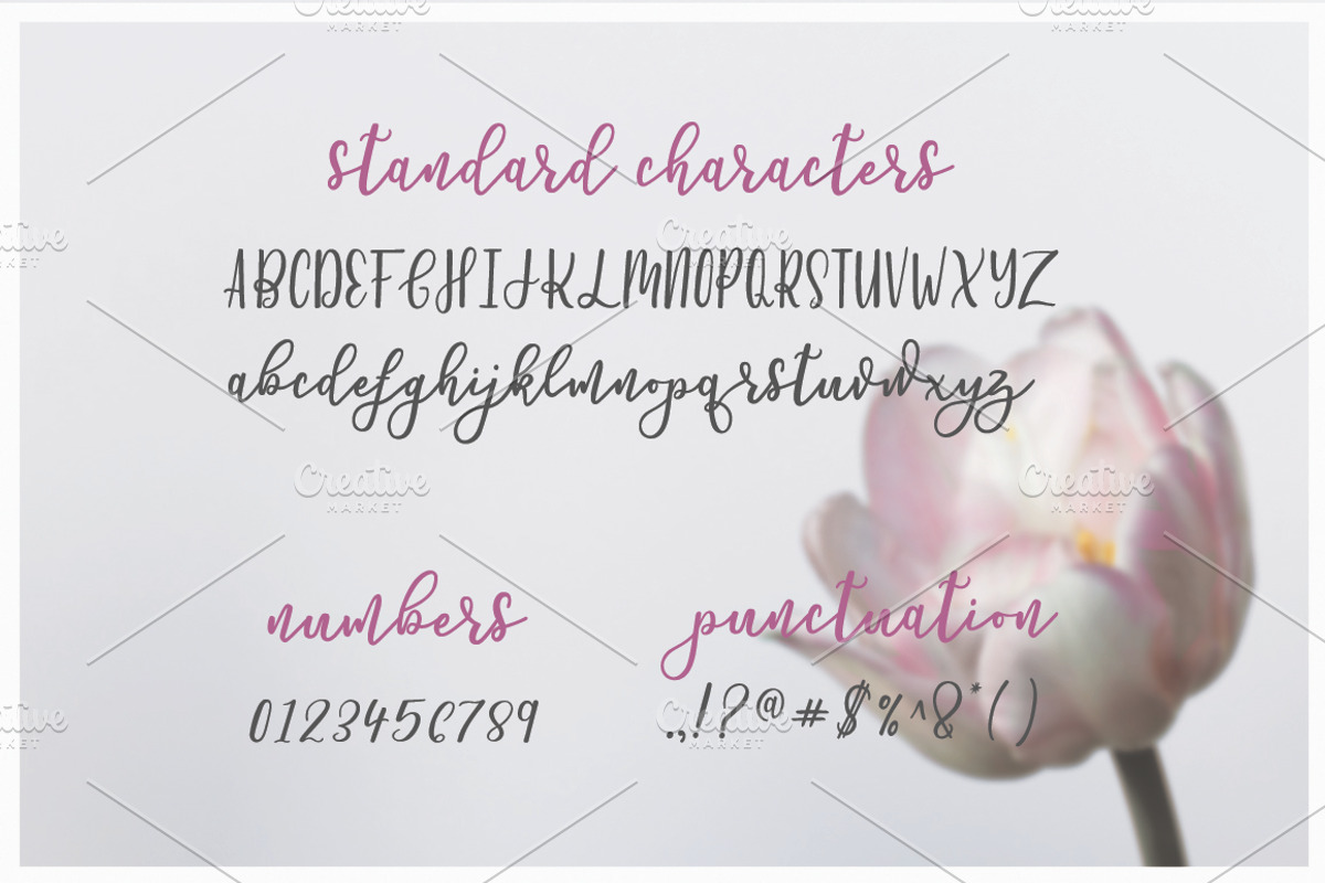 Petunia Script preview 7