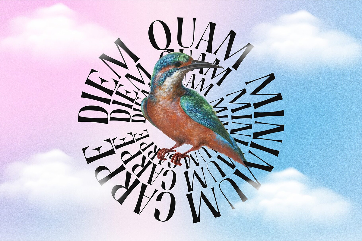 Holagen - A Decorative Display Font, a Handwritten Font by Koplexs Studio (Photo 7 of 10)