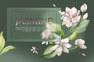White flowers jasmine watercolor set