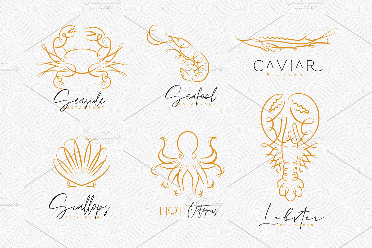 Marine Creatures, an Animal Illustration by Anna (Photo 4 of 6)