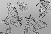 Butterfly & Moth, a Brush Add-On by Forget Me Not Brush Shop (Thumbnail 3 of 3)