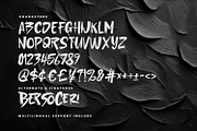 Ceris Berison Bold Dynamic Creative, a Handwritten Font by Maulana Creative (Thumbnail 5 of 6)