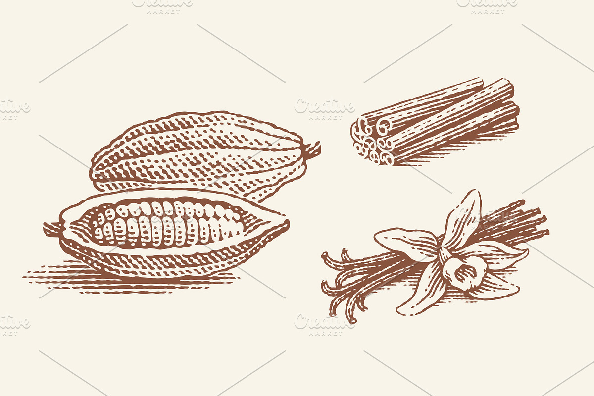 Cacao, vanilla, cinnamon, a Graphic by Irina Trusova (Photo 1 of 4)