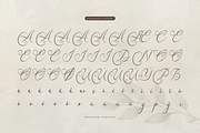 Karleysa | Modern Calligraphy, a Script Font by Denustudios (Thumbnail 12 of 12)