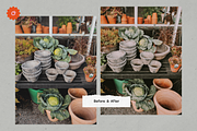 8 Jardin Lightroom Presets, a Preset Add-On by SHOOM HOUSE (Thumbnail 13 of 15)