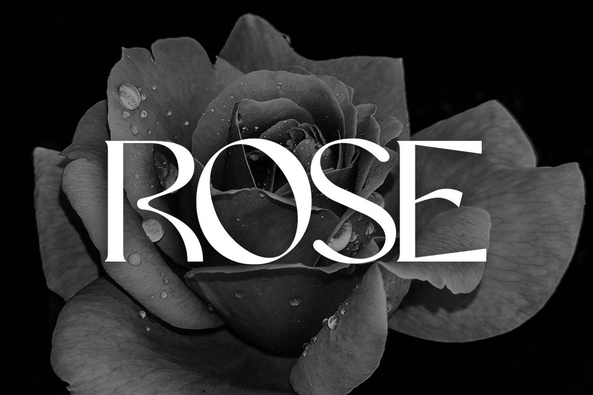 Ciguatera Serif Logo Font, a Serif Font by UICreative (Photo 8 of 13)