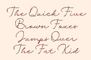CS Lydia Disco, a Script Font by Craft Supply Co. (Thumbnail 5 of 8)