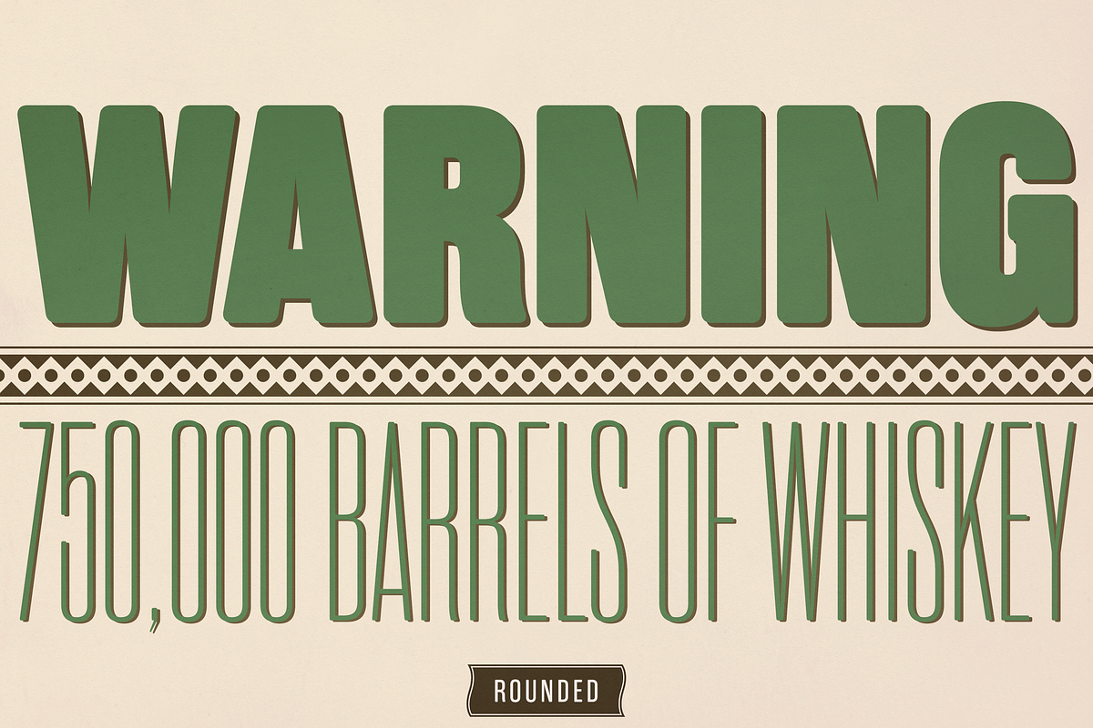 Rama Gothic Rounded, a Sans Serif Font by Dharma Type (Photo 9 of 10)