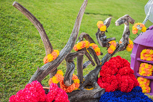 Bright flower clusters and garlands
