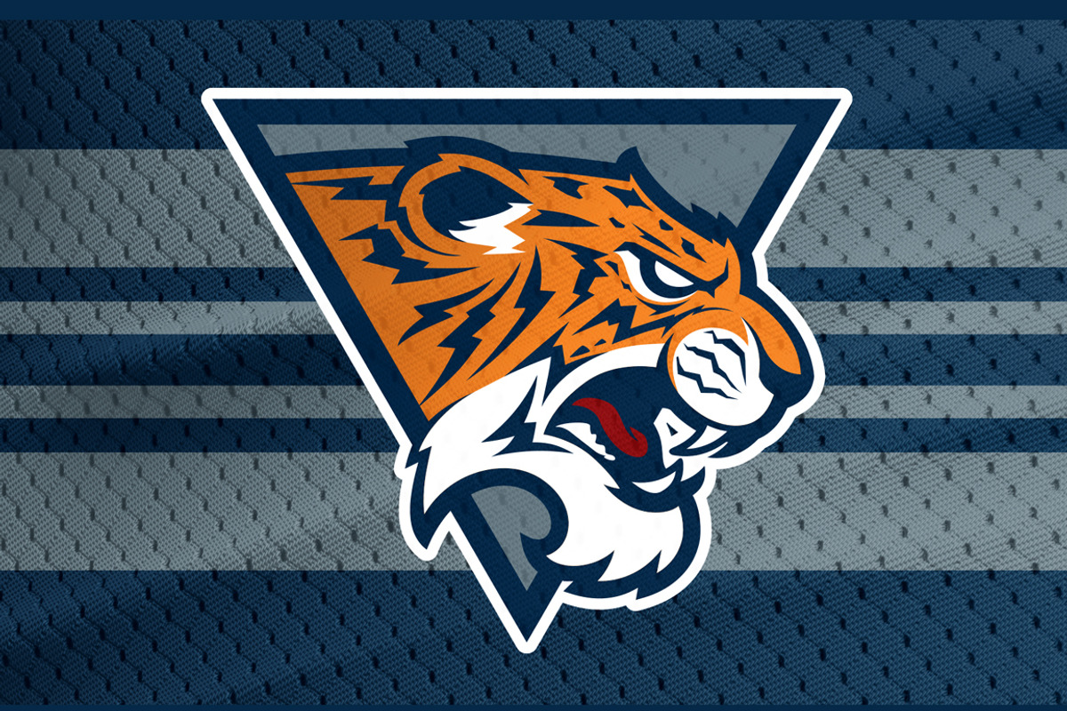 Tiger sport logotype., a Branding & Logo Template by Mister Chek (Photo 3 of 3)