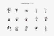 Procreate Brushes 27 Indoor plants, a Brush Add-On by Greek fonts by nantia.co (Thumbnail 3 of 5)