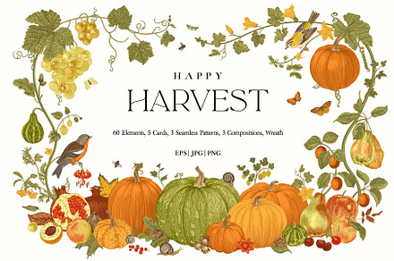 Happy Harvest