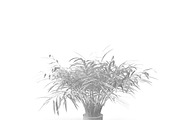 Flowerpot, an Environmental 3D Model by AndrewWhite (Thumbnail 5 of 5)