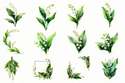 Watercolor Lily clipart, an Illustration by Designworld (Thumbnail 3 of 4)