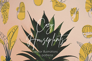 Cozy Houseplants | illustrations