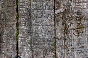 Weathered wooden planks