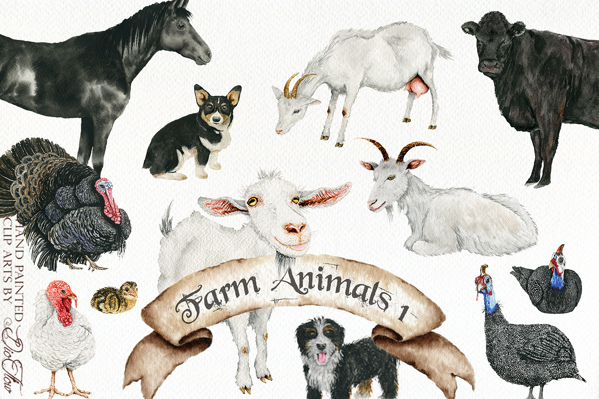 Farm Animals 1-2 Illustrations, a Decorative Illustration by DioFlow (Photo 1 of 4)