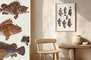 Kumataro Ito Japanese Aquatic Art, an Animal Illustration by Digital Museum (Thumbnail 12 of 13)