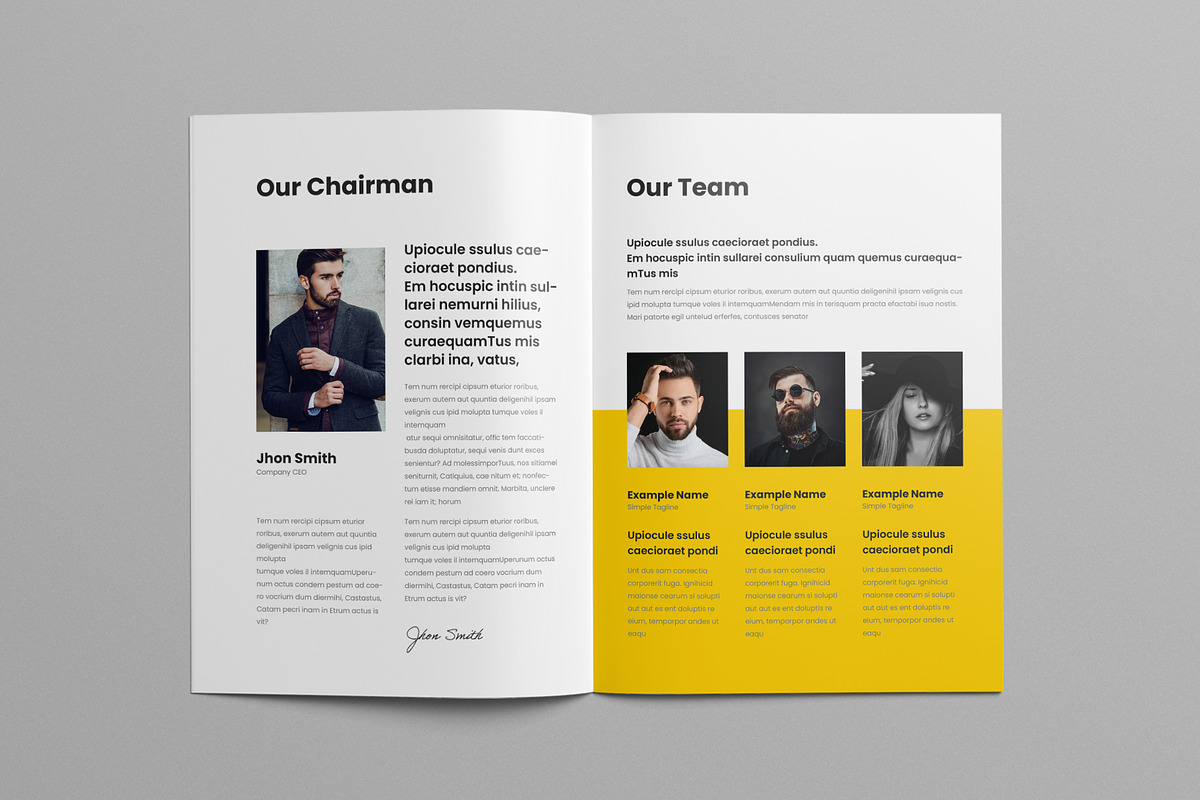 White Paper Template, a Brochure Template by Pixelpick (Photo 4 of 9)