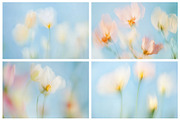 30 Soft Blurred Florals Backgrounds, a Background Graphic by lerinartstudio (Thumbnail 9 of 13)