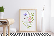 Wild flowers, watercolor clipart PNG, a Decorative Illustration by Larisa Maslova (Thumbnail 5 of 8)