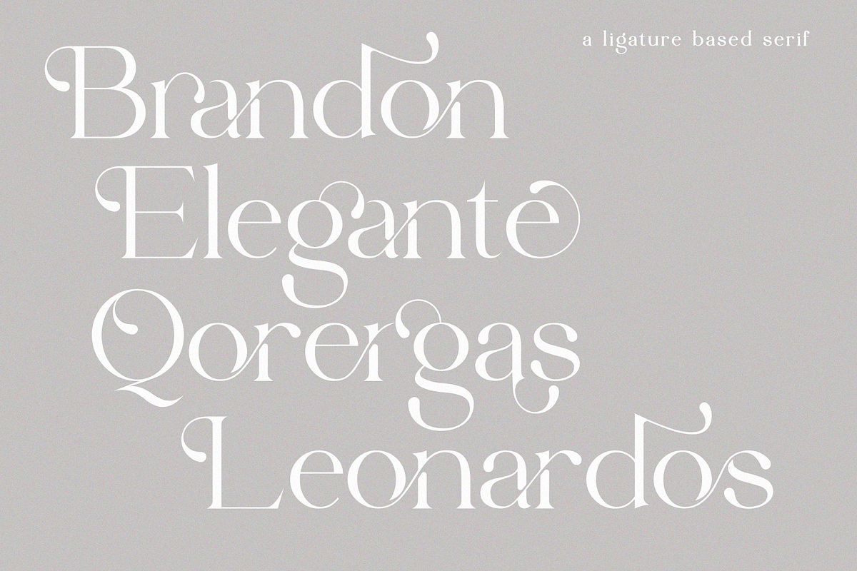 Edhan Martine | 150 Ligatures, a Serif Font by Sealoung (Photo 14 of 18)