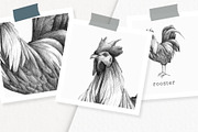 Farm Animals Illustration Pack, a Pattern Graphic by Greek fonts by nantia.co (Thumbnail 2 of 7)